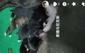 尼克斯X麦穗儿 156111110095723.jpg