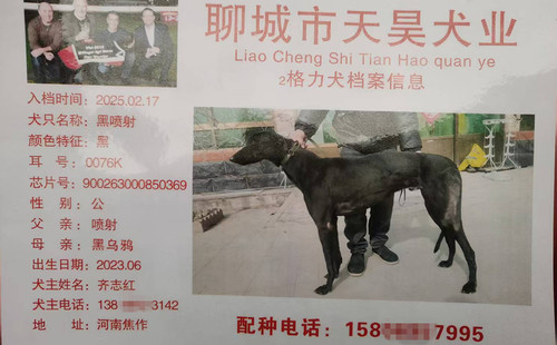 黑喷射 900263000850369