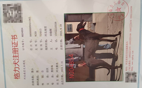 黑小 990000009421965，NGXH724B13