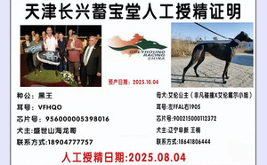 黑王X艾伦公主 900215000112372，FFAL1905.jpg