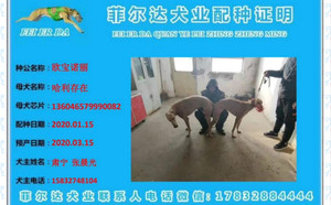 欧宝诺丽X哈利存在 136046579990082，H1704.jpg