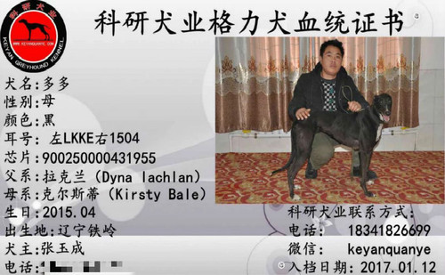 多多 900250000431955，LKKE1504
