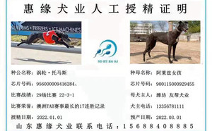 涡轮托马斯X阿莱兹女孩 900115000929455.jpg