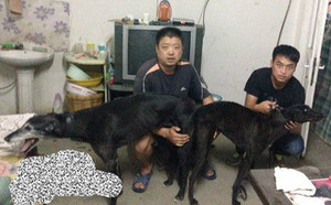 小红辣椒X来喜 941000016715093.jpg