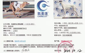 卡尼亚游轮X小黑眼 NGXH 917A，900115000889437.jpg
