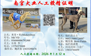 米奇杜X灿烂的公主 900215009728087.jpg