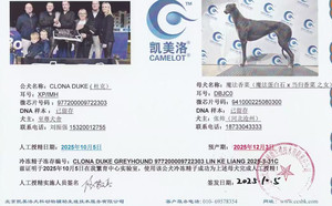 杜克X魔法香菜 DBJC0，941000225080300.jpg
