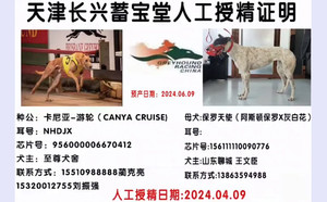 卡尼亚游轮X保罗天使 156111110090776.jpg