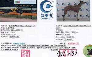 魔法蛋白石X迈克 156111110072468.jpg