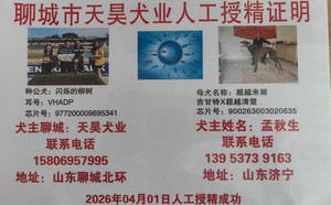 闪烁的柳树X超越米丽 900263003020635.jpg