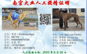 米奇杜X火凤 900215005763934，J312B.jpg