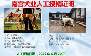 尼克斯X图像62号 NGXH 616M，156111110088327.jpg