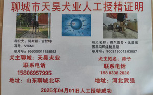 阿斯顿吉甘特X费尔南多·冰墩墩 900219001283857.jpg