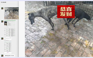 金字塔X黑妹 HDGL 1312，990000001070426，900155000013889.jpg