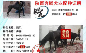 飓风X秀秀 900156999025130.jpg