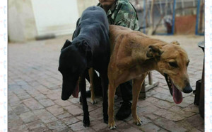 科南斯之星X菲特 Anywhere Anytime，956000008462570，B05V.jpg