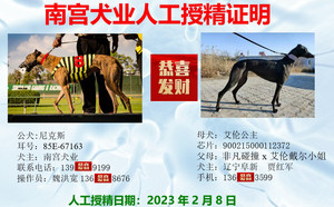 尼克斯X艾伦公主 900215000112372，FFAL1905.jpg