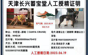 卡尼亚游轮X诺里公主 900115000929277.jpg