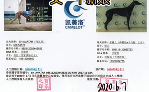 阿瓦塔X麦穗儿 156111110095723.jpg