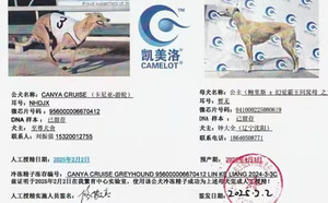 卡尼亚游轮X公主 941000225080619.jpg