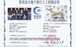 杜克X静海刘振强的天元号988000001880270（2025年5月19日配）.jpg