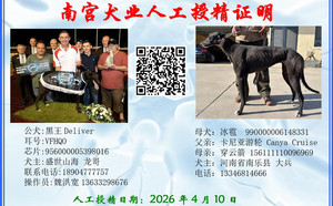 黑王X冰雹 990000006148331.jpg