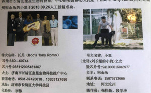 托尼X小黑 941000015046977.jpg
