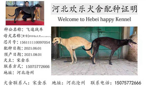 飞速战车X黄莺 156111110097054，J910A.jpg