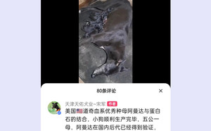 魔法蛋白石X阿曼达 Amanda Bynes，36F 68264，988000001880001.jpg