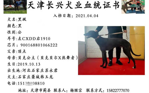 黑飒 900168801066222，CXDD1910