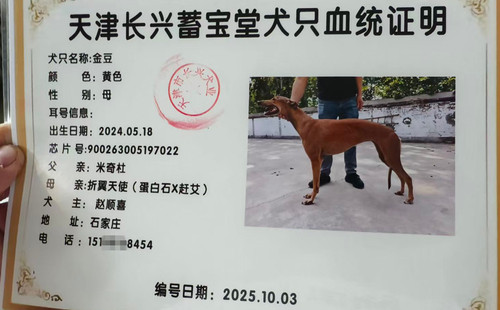 金豆 900263005197022