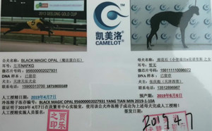 魔法蛋白石X雨花石156111110096072.jpg