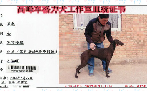 零七六 900250000445076，GAOD