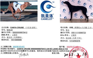卡尼亚游轮X麦穗儿 156111110095723.jpg