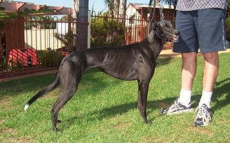 超母 Nun's Habit，OAD E095