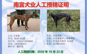 艾里斯X宇宙明珠 900111880715321，HJWCYZLLS.jpg