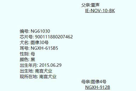 图像30号 900111880207462，NGXH615B