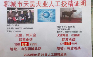喷射X红辣椒 900115000929428.jpg
