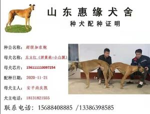 超级加农炮X东方红 156111110097254，J64H.jpg