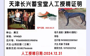 黑王X妞妞 941000225081061.jpg