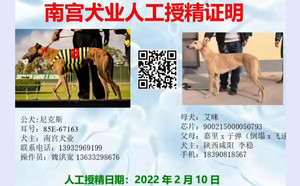 尼克斯X艾咪 CY478，900215000050793.jpg