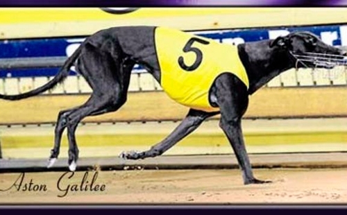 阿斯顿加利利 Aston Galilee