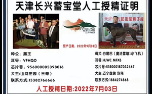黑王X白尾巴 515000187032467，900111881606897，HJWCMFXB.jpg