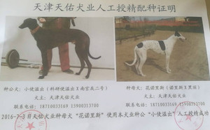 小使溢出X花诺里斯 941000015046952.jpg