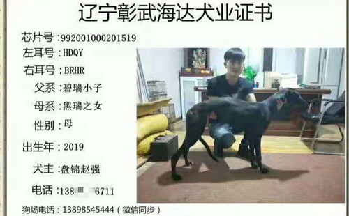 碧瑞公主 992001000201519，HDQYBRHR