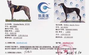 诺里斯X阿曼达 Amanda Bynes，36F 68264，988000001880001.jpg