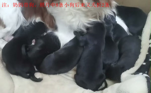 杜克X拉克兰闪电988000001880401.jpg