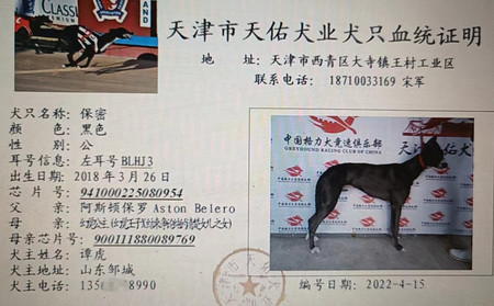 保密 BLHJ3，941000225080954
