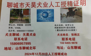 阿斯顿吉甘特X保罗公主 900215002446180.jpg