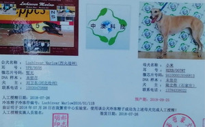 烈火战神X小米 HZXB 0078T，941000015046813.jpg